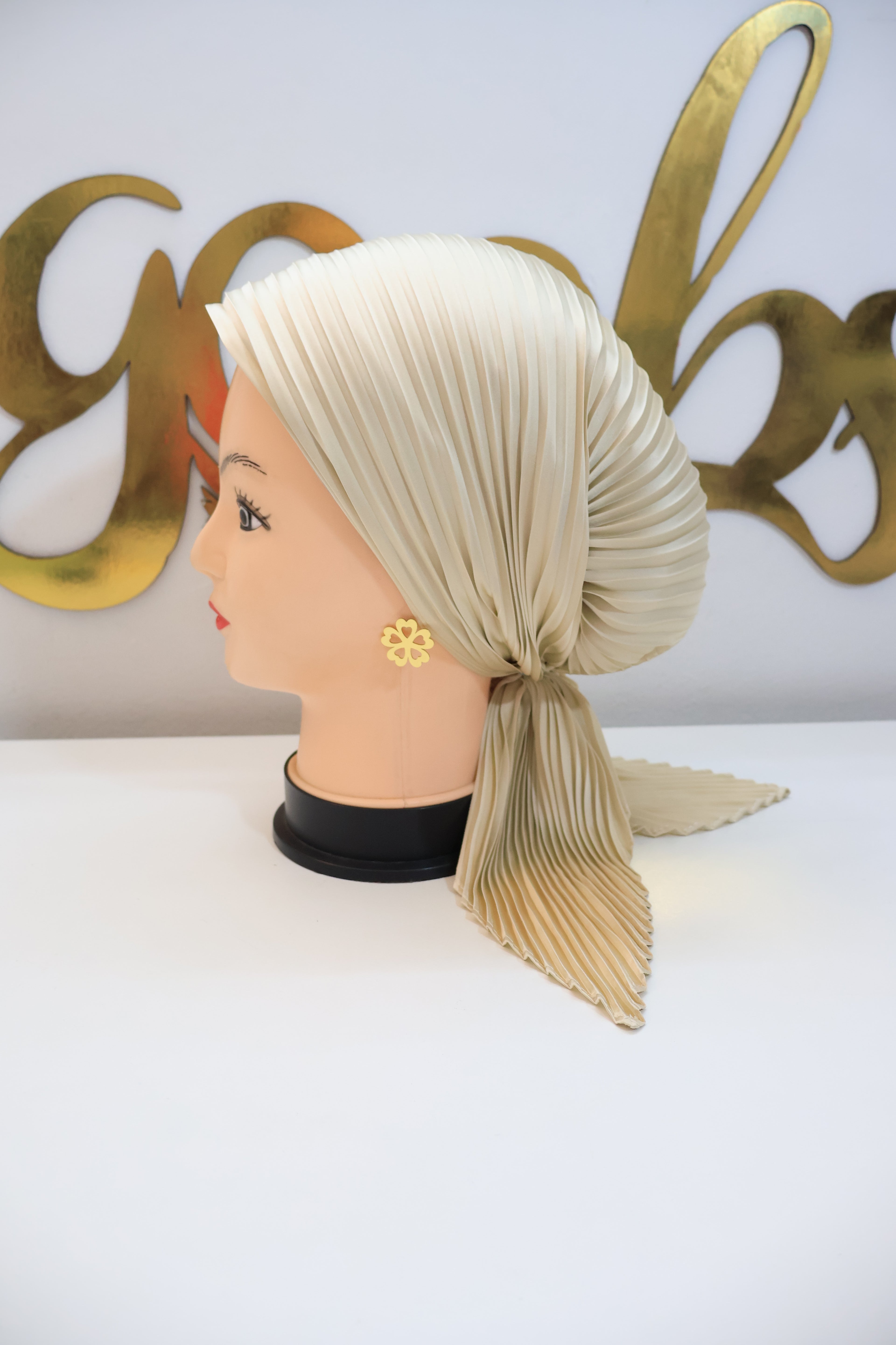 ميني ستان بليسيه