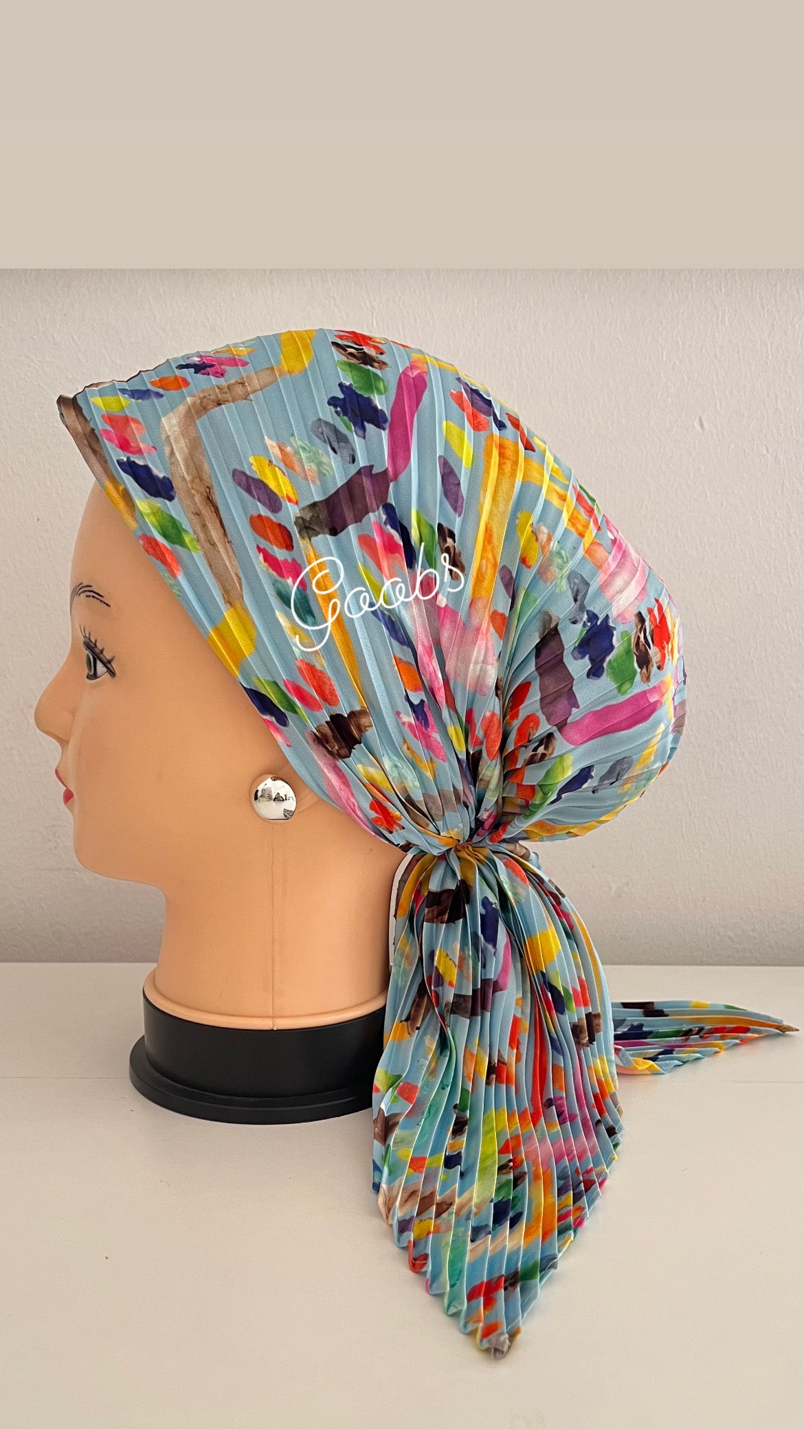 ميني ستان بليسيه