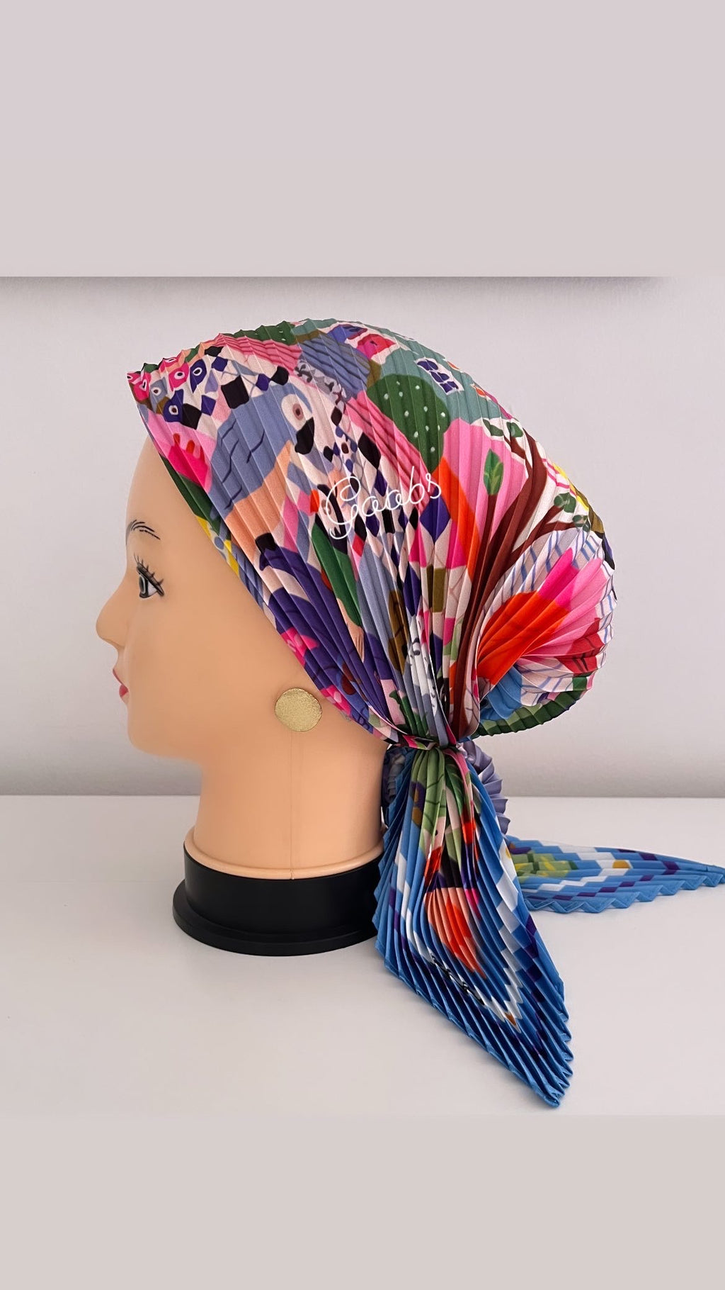 ميني ستان بليسيه