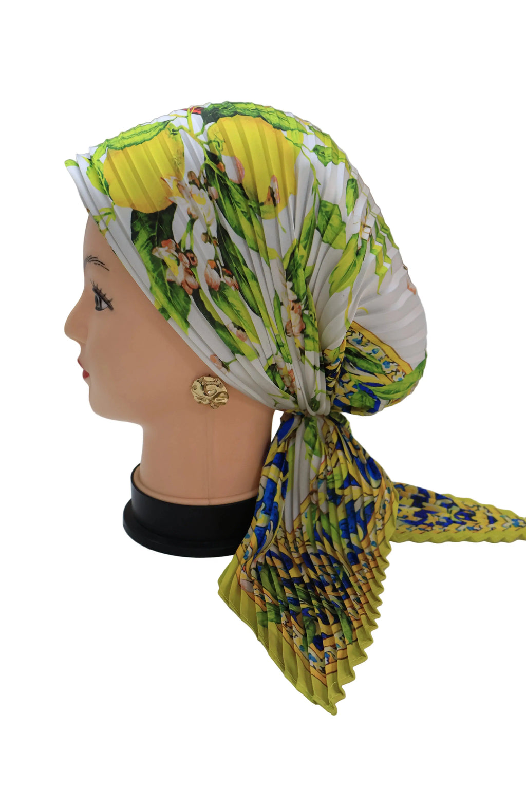 ميني ستان بليسية