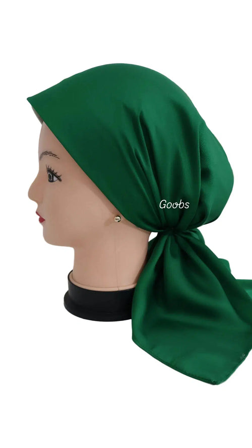 ميني  ستان سادة