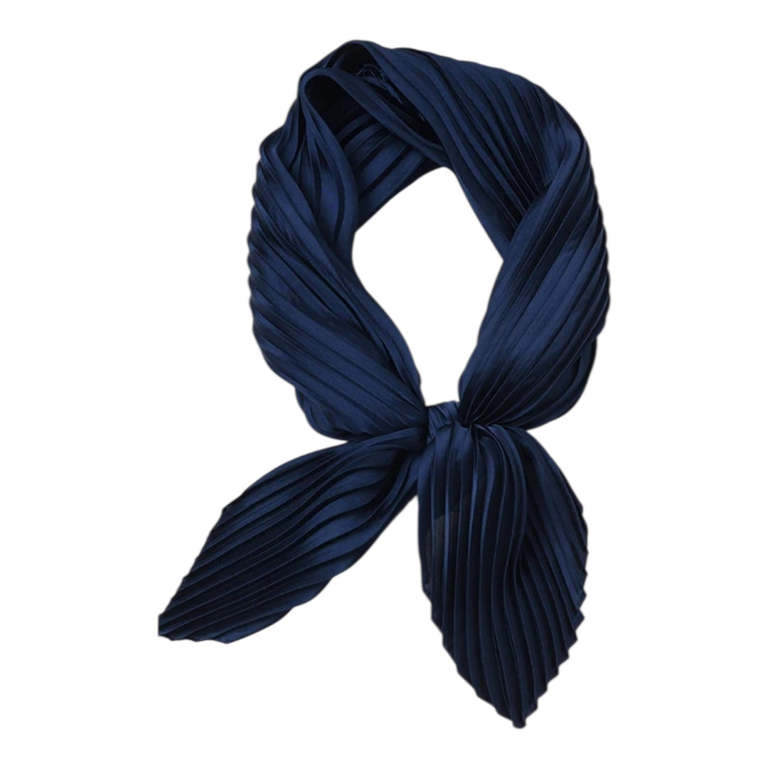 ميني ستان بليسيه