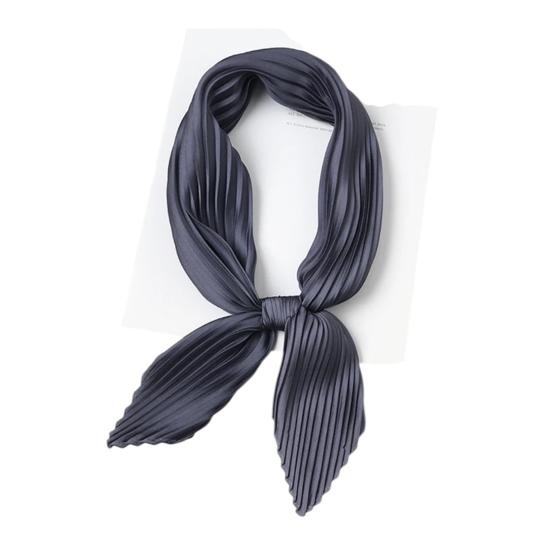 ميني ستان بليسيه