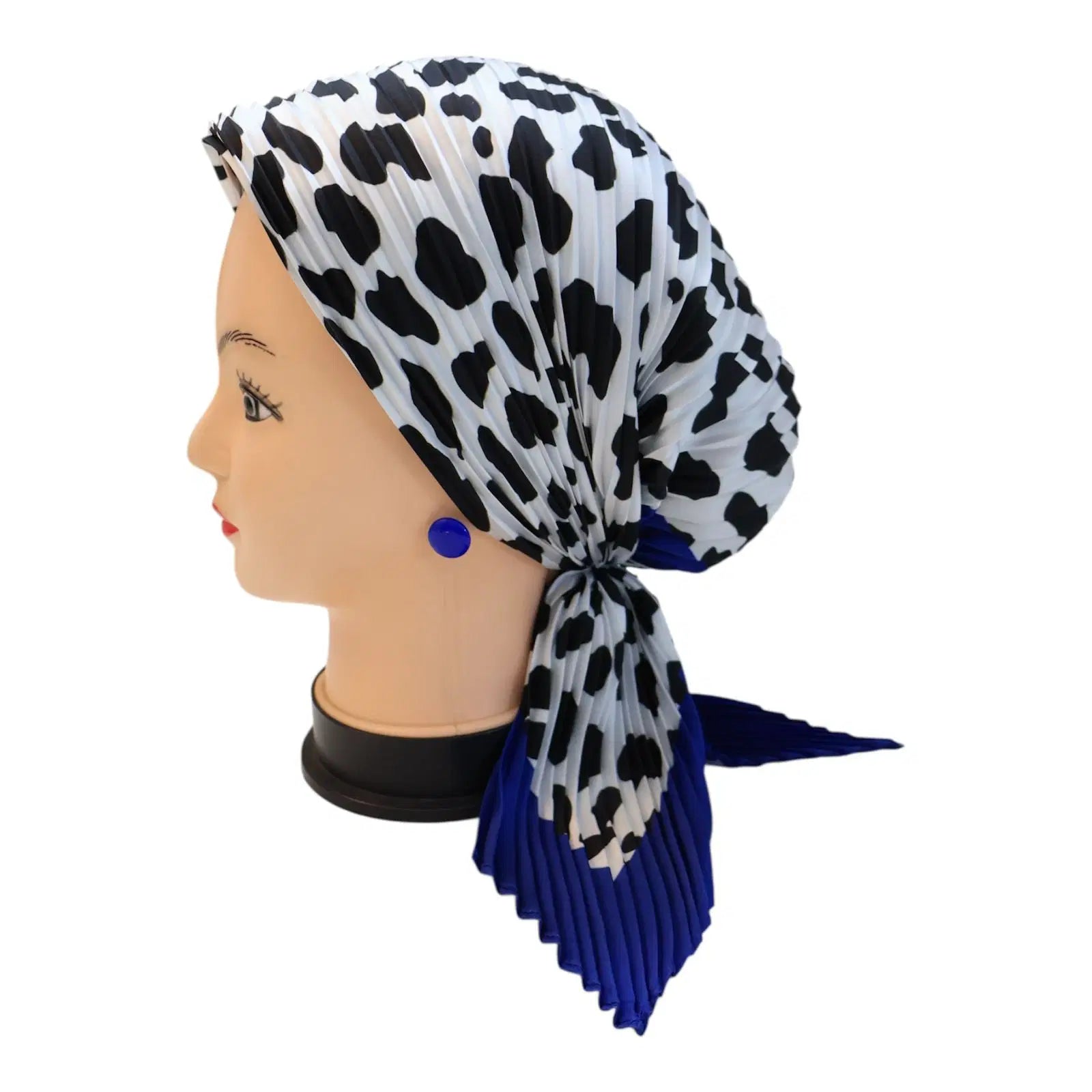 ميني ستان بليسية